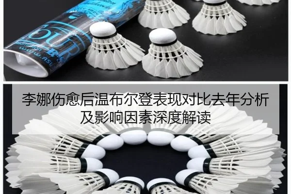 李娜伤愈后温布尔登表现对比去年分析及影响因素深度解读