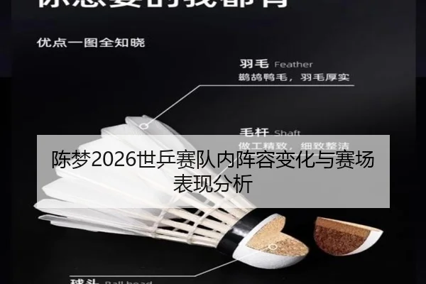 陈梦2026世乒赛队内阵容变化与赛场表现分析